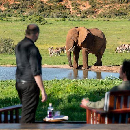 Gorah Elephant Camp Addo Eksteriør bilde