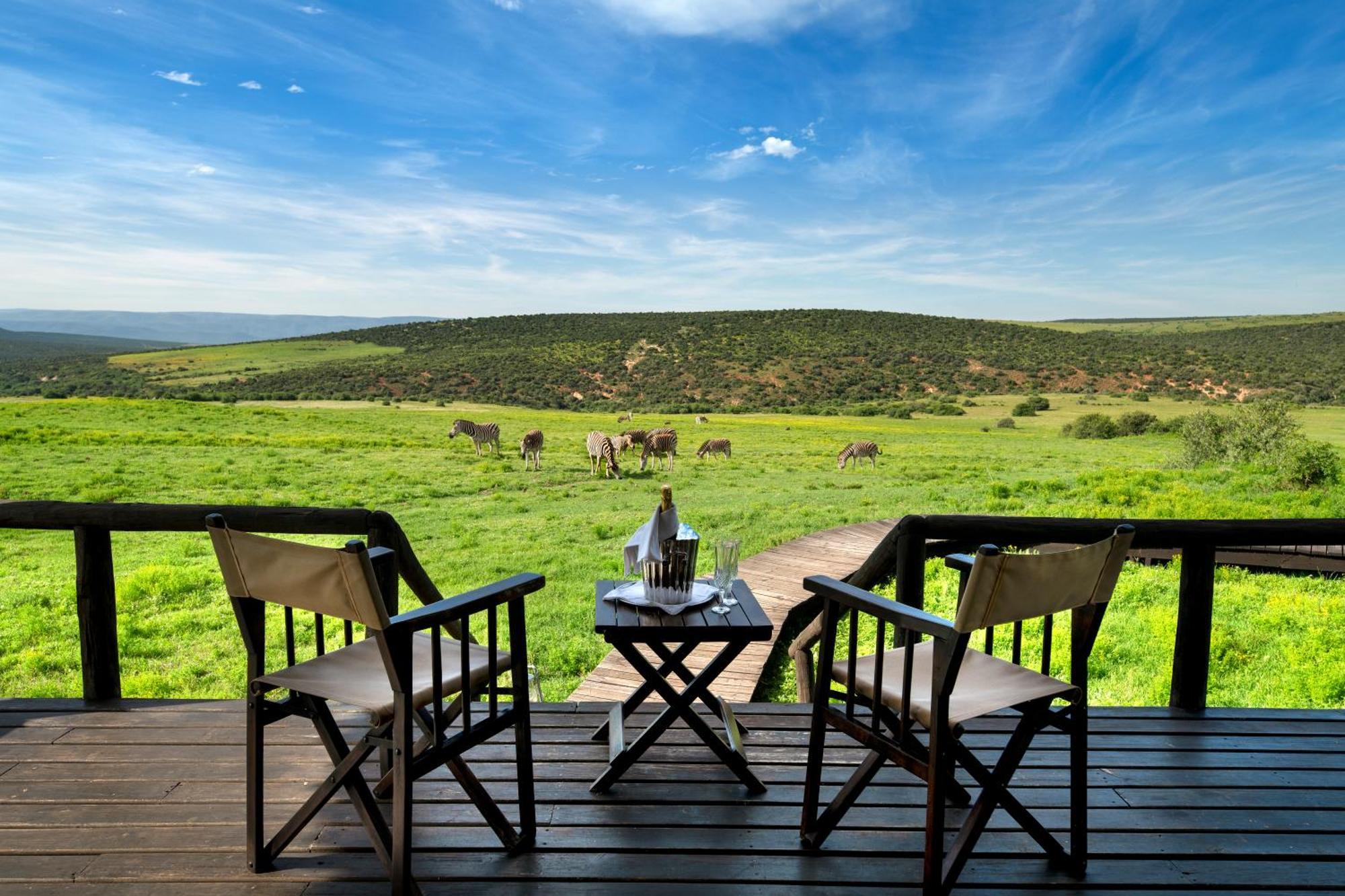 Gorah Elephant Camp Addo Eksteriør bilde