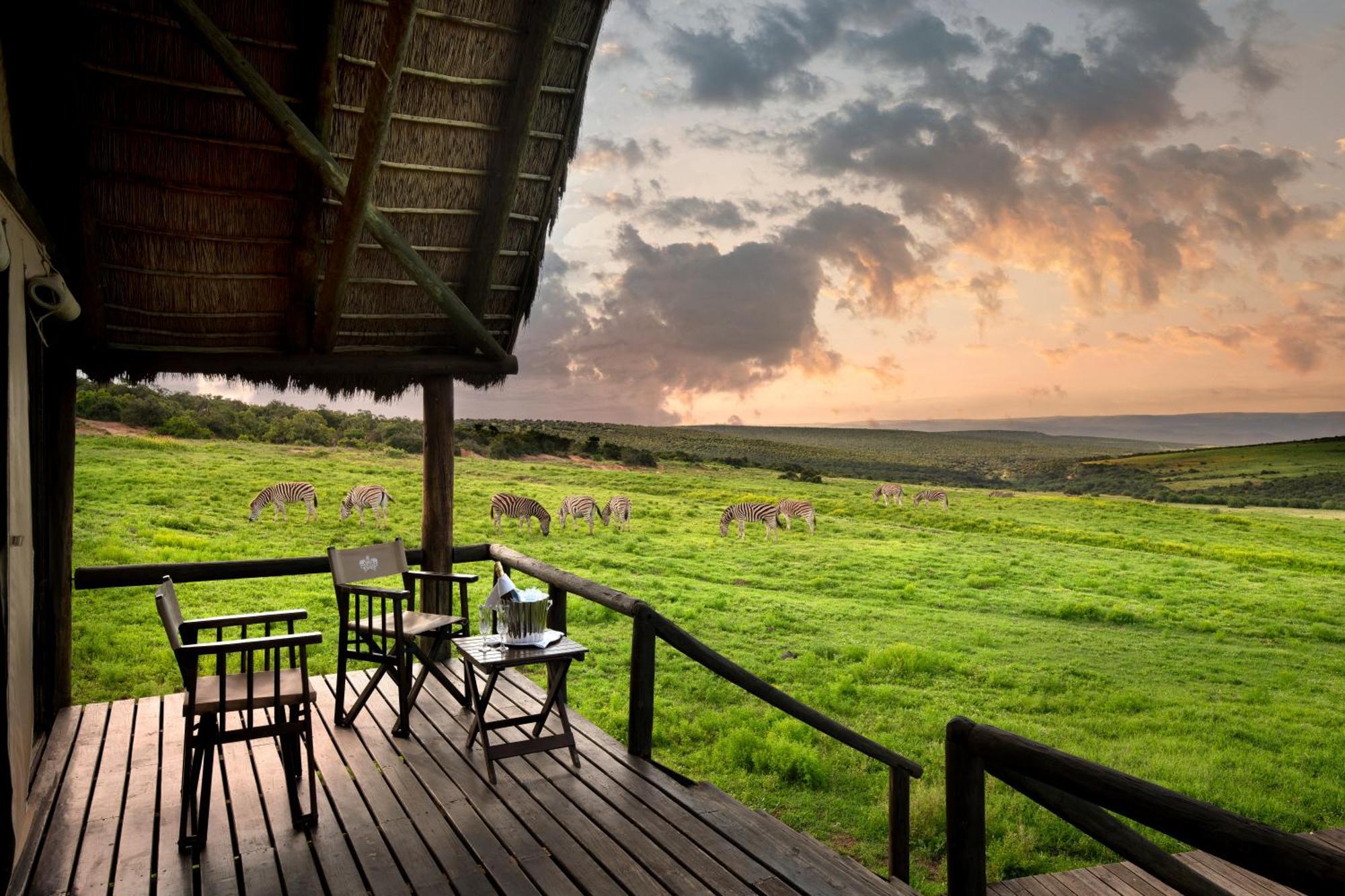 Gorah Elephant Camp Addo Eksteriør bilde