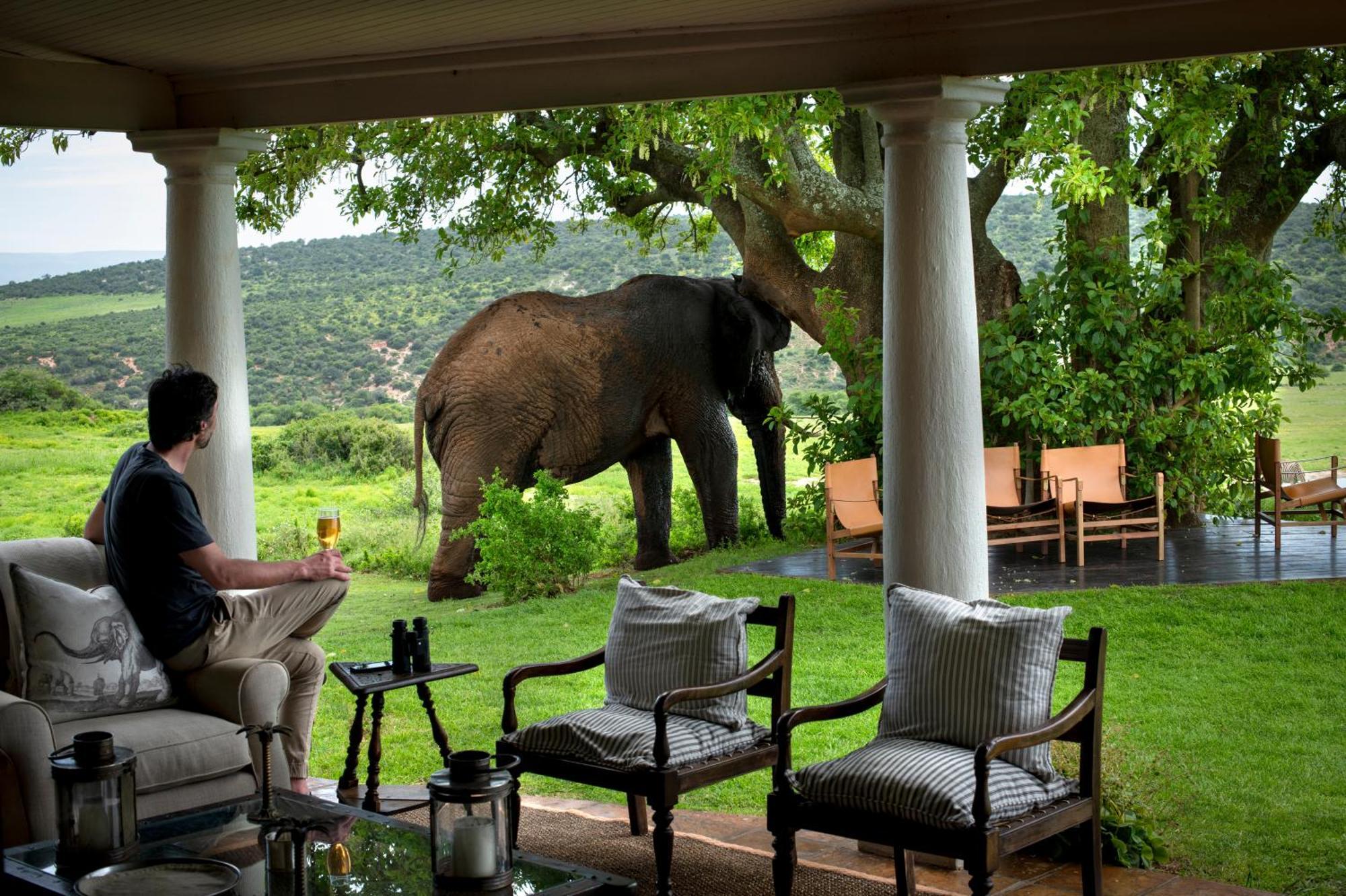 Gorah Elephant Camp Addo Eksteriør bilde