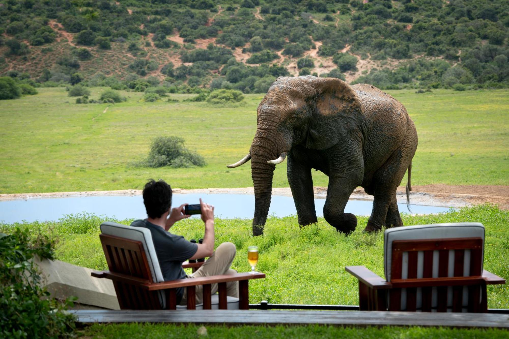 Gorah Elephant Camp Addo Eksteriør bilde