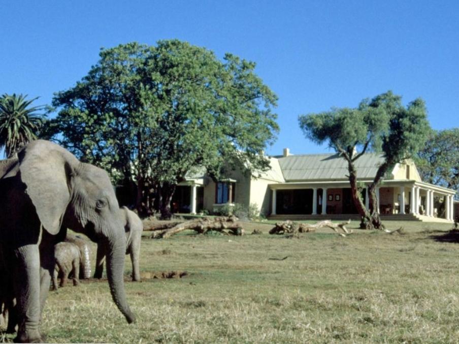 Gorah Elephant Camp Addo Eksteriør bilde