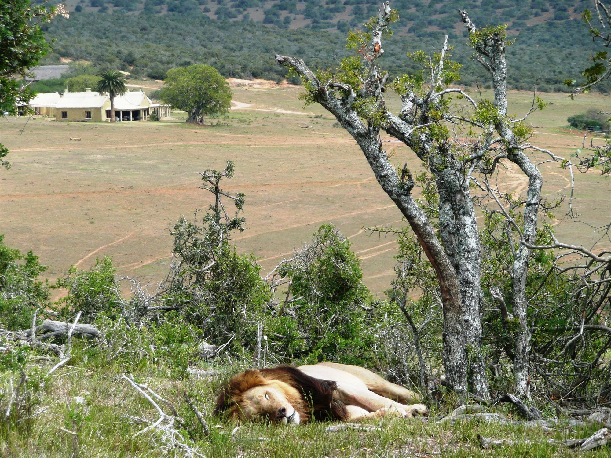 Gorah Elephant Camp Addo Eksteriør bilde